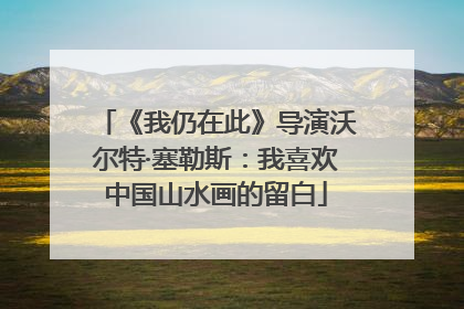 《我仍在此》导演沃尔特·塞勒斯：我喜欢中国山水画的留白