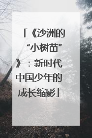 《沙洲的“小树苗”》：新时代中国少年的成长缩影
