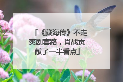 《藏海传》不走爽剧套路，肖战贡献了一半看点