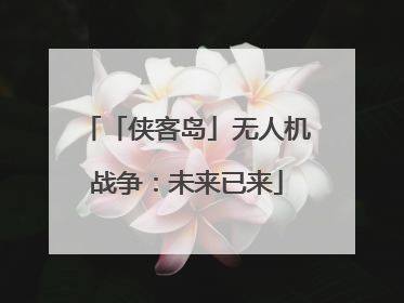 「侠客岛」无人机战争：未来已来