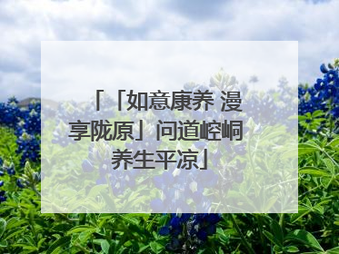 「如意康养 漫享陇原」问道崆峒 养生平凉