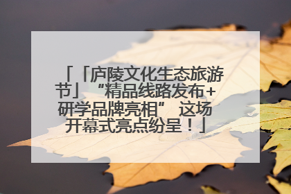 「庐陵文化生态旅游节」“精品线路发布+研学品牌亮相” 这场开幕式亮点纷呈！