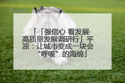 「强信心 看发展·高质量发展调研行」平凉：让城市变成一块会“呼吸”的海绵