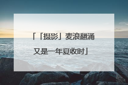 「摄影」麦浪翻涌 又是一年夏收时