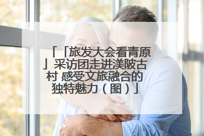 「旅发大会看青原」采访团走进渼陂古村 感受文旅融合的独特魅力（图）