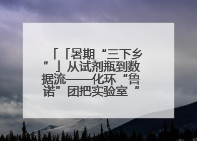 「暑期“三下乡”」从试剂瓶到数据流——化环“鲁诺”团把实验室“搬”回家乡，点亮桑梓求知路