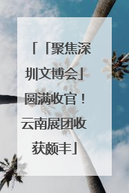 「聚焦深圳文博会」圆满收官！云南展团收获颇丰