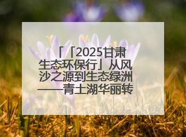 「2025甘肃生态环保行」从风沙之源到生态绿洲——青土湖华丽转身书写生态新篇