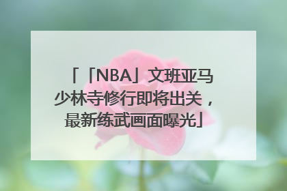「NBA」文班亚马少林寺修行即将出关，最新练武画面曝光