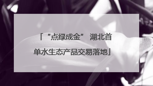 “点绿成金” 湖北首单水生态产品交易落地
