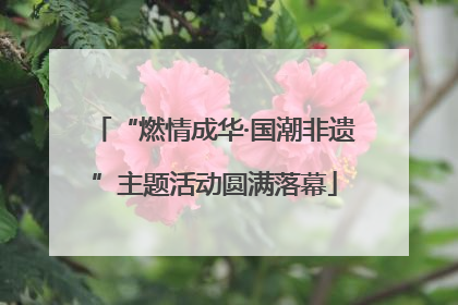 “燃情成华·国潮非遗”主题活动圆满落幕