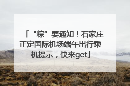 “粽”要通知！石家庄正定国际机场端午出行乘机提示，快来get