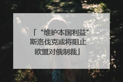 “维护本国利益” 斯洛伐克或将阻止欧盟对俄制裁