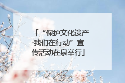“保护文化遗产·我们在行动”宣传活动在泉举行