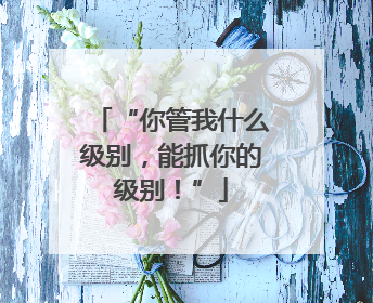 “你管我什么级别，能抓你的级别！”