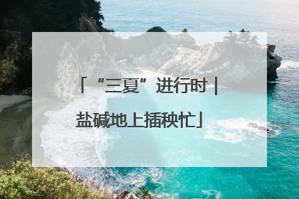 “三夏”进行时｜盐碱地上插秧忙