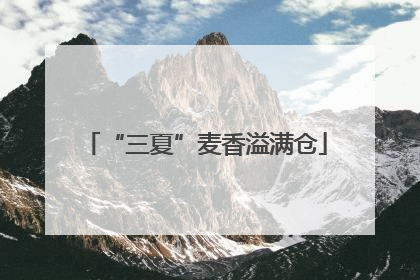 “三夏”麦香溢满仓