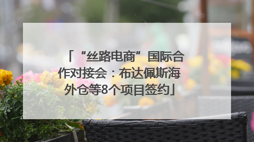 “丝路电商”国际合作对接会：布达佩斯海外仓等8个项目签约
