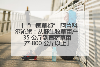 “中国草都” 阿鲁科尔沁旗：从野生牧草亩产 35 公斤到苜蓿草亩产 800 公斤以上
