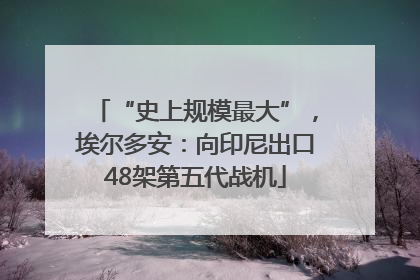 “史上规模最大”，埃尔多安：向印尼出口48架第五代战机