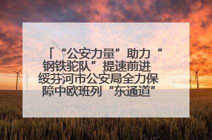 “公安力量”助力“钢铁驼队”提速前进 绥芬河市公安局全力保障中欧班列“东通道”绥芬河隧道贯通
