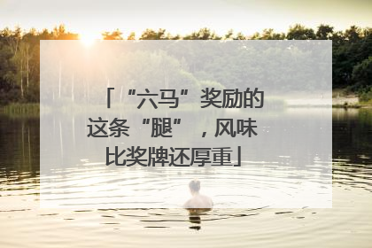 “六马”奖励的这条“腿”，风味比奖牌还厚重