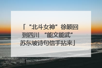 “北斗女神”徐颖回到四川 “能文能武”苏东坡诗句信手拈来
