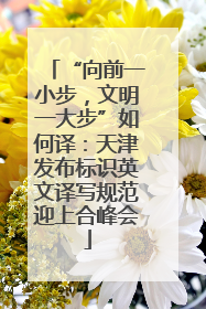 “向前一小步，文明一大步”如何译：天津发布标识英文译写规范迎上合峰会