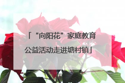 “向阳花”家庭教育公益活动走进塘村镇
