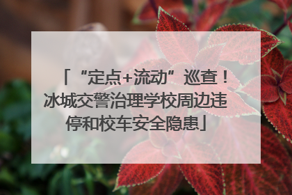 “定点+流动”巡查！冰城交警治理学校周边违停和校车安全隐患