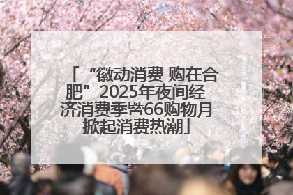 “徽动消费 购在合肥”2025年夜间经济消费季暨66购物月掀起消费热潮