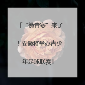 “徽青赛”来了！安徽将举办青少年足球联赛
