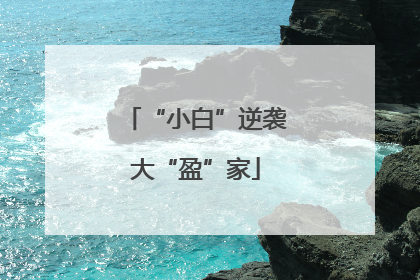 “小白”逆袭大“盈”家