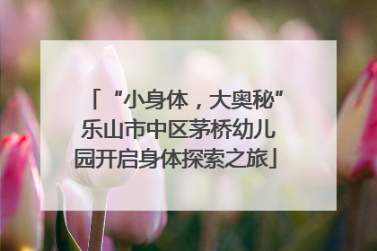 “小身体，大奥秘” 乐山市中区茅桥幼儿园开启身体探索之旅