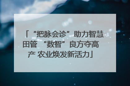 “把脉会诊”助力智慧田管 “数智”良方夺高产 农业焕发新活力