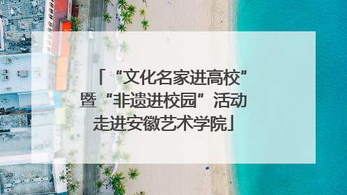 “文化名家进高校”暨“非遗进校园”活动走进安徽艺术学院