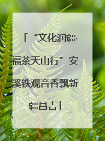 “文化润疆·福茶天山行”安溪铁观音香飘新疆昌吉