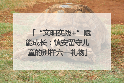 “文明实践+”赋能成长：镇安留守儿童的别样六一礼物