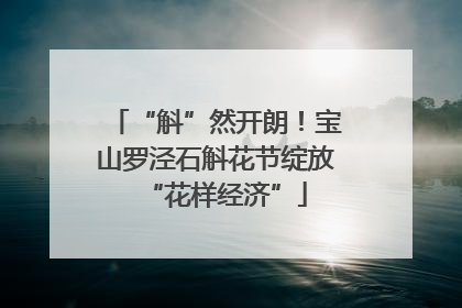 “斛”然开朗！宝山罗泾石斛花节绽放“花样经济”