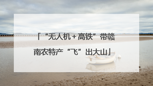 “无人机＋高铁”带赣南农特产“飞”出大山