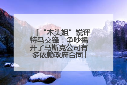 “木头姐”锐评特马交锋：争吵揭开了马斯克公司有多依赖政府合同