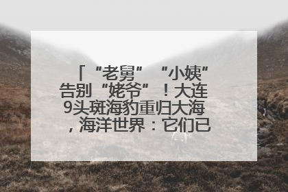“老舅”“小姨”告别“姥爷”！大连9头斑海豹重归大海，海洋世界：它们已具备野外生存能力