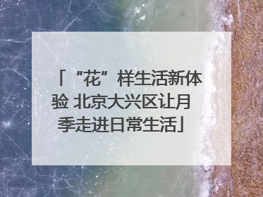 “花”样生活新体验 北京大兴区让月季走进日常生活