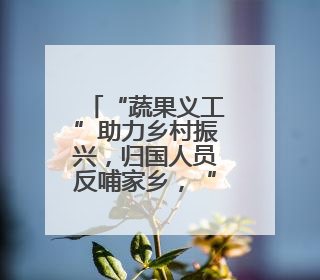 “蔬果义工”助力乡村振兴，归国人员反哺家乡，“果蔬村”村美民富香飘远近
