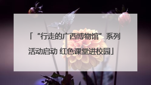 “行走的广西博物馆”系列活动启动 红色课堂进校园