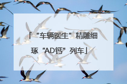 “车辆医生”精雕细琢“AD钙”列车