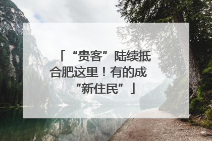 “贵客”陆续抵合肥这里！有的成“新住民”