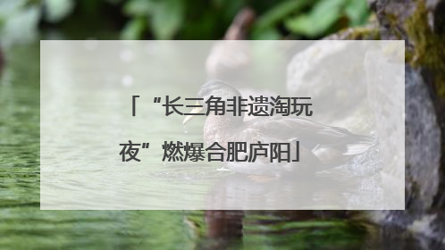 “长三角非遗淘玩夜”燃爆合肥庐阳