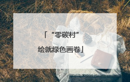 “零碳村” 绘就绿色画卷