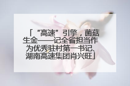 “高速”引擎，菌菇生金——记全省担当作为优秀驻村第一书记、湖南高速集团肖兴旺